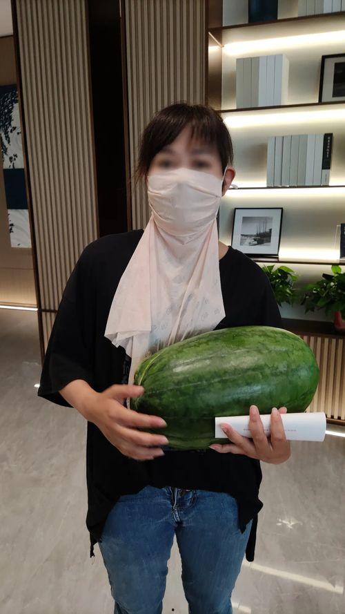 今日吃瓜每日大瓜热点大瓜,揭秘今日吃瓜大瓜，一网打尽娱乐圈最新动态