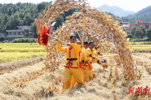 丰收节,庆祝丰收与感恩的喜悦时刻