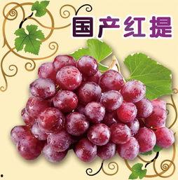 娱乐吃瓜酱葡萄娱乐,揭秘娱乐圈幕后故事与趣味瞬间